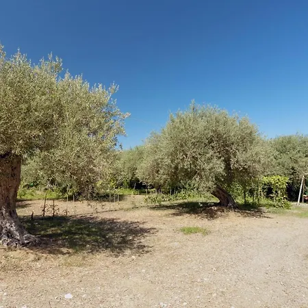 Villa Mendolia Ai Caracoli Termini Imerese